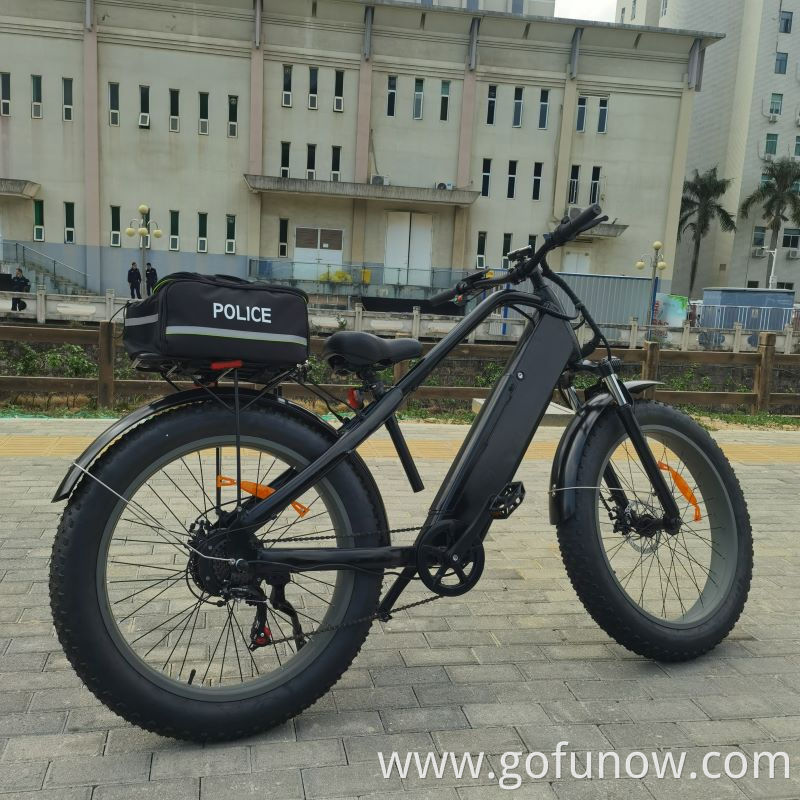 750W Lithium Battery 48V Electric Bicycle 26 inch Fat Tyre Beach Snow Electric Bike E-Bike